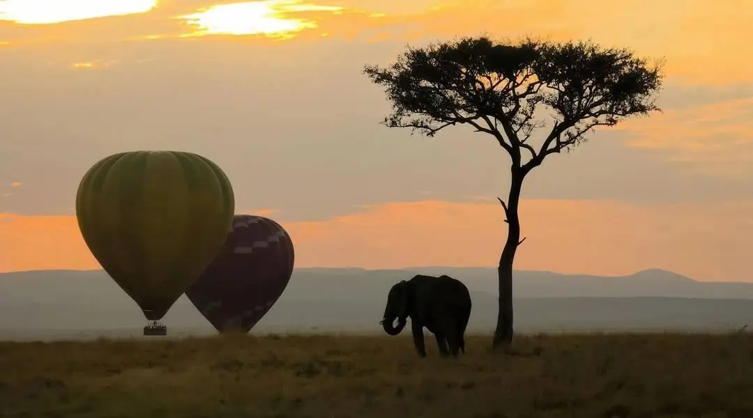 Balloon safari at sunset