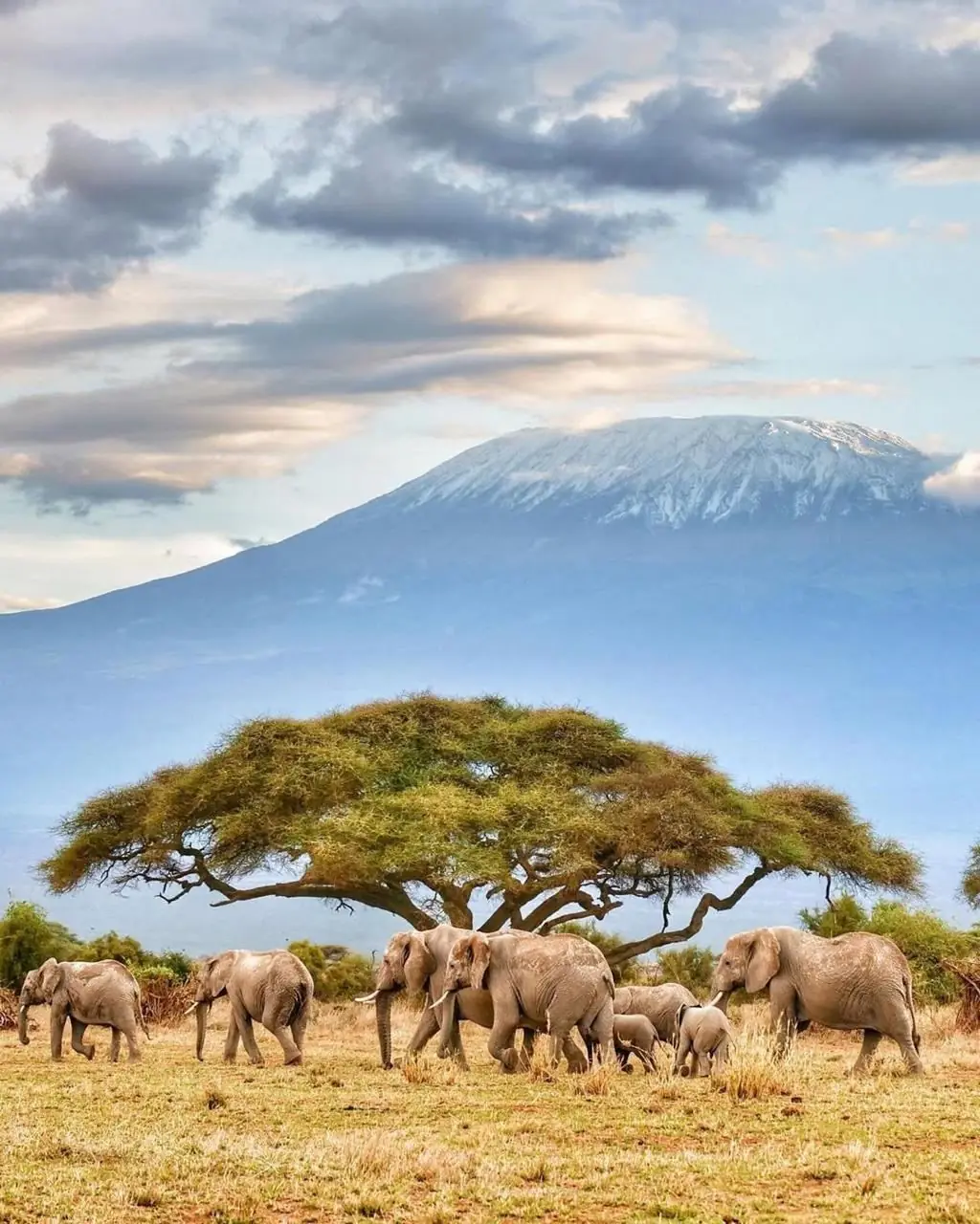 Amboseli