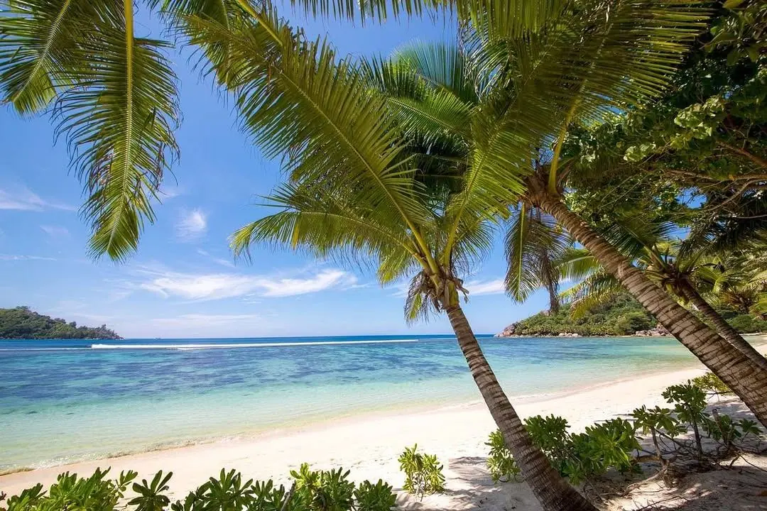 Zanzibar